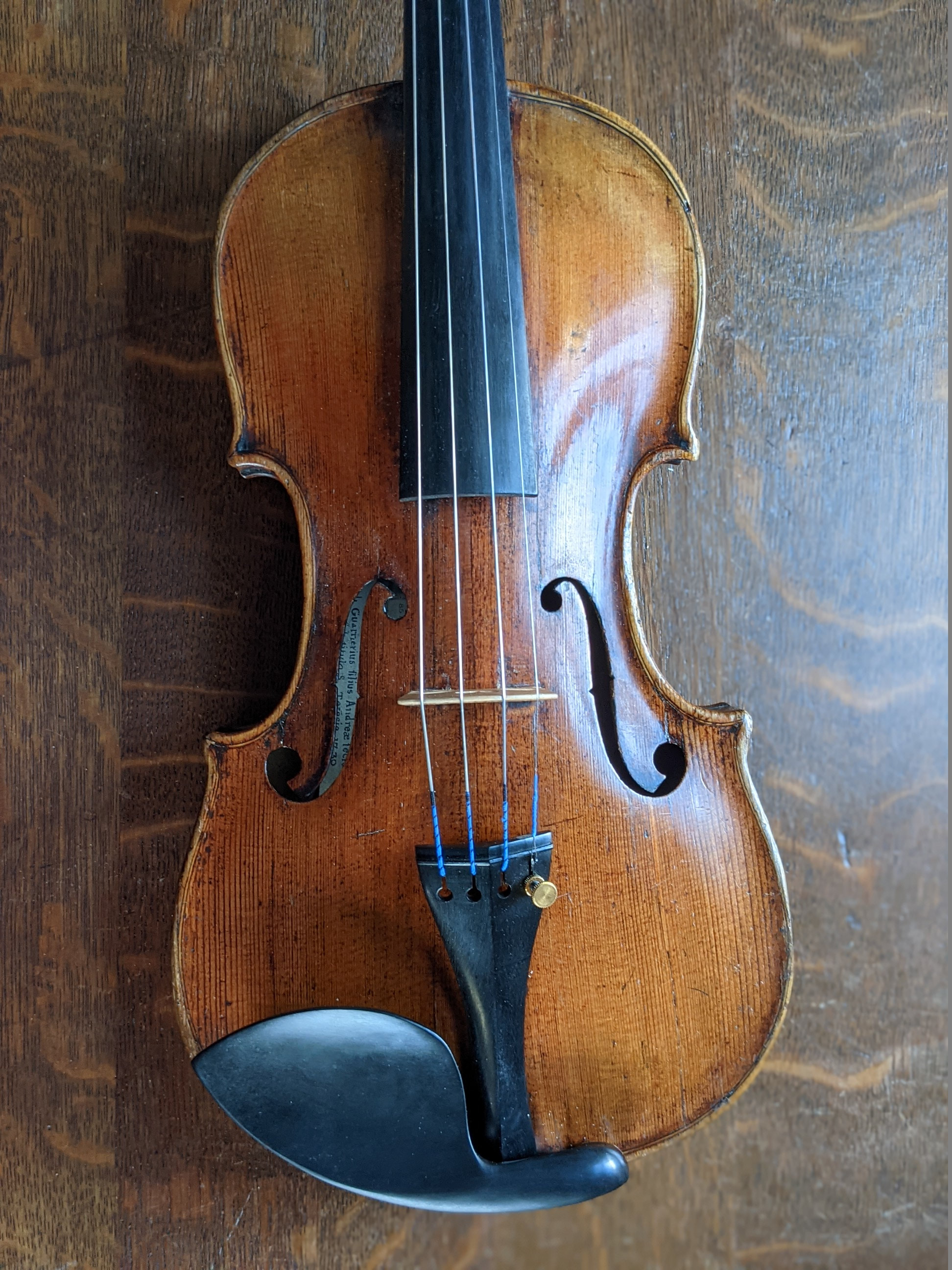 låne hoste dissipation Vintage violin, late 1800s